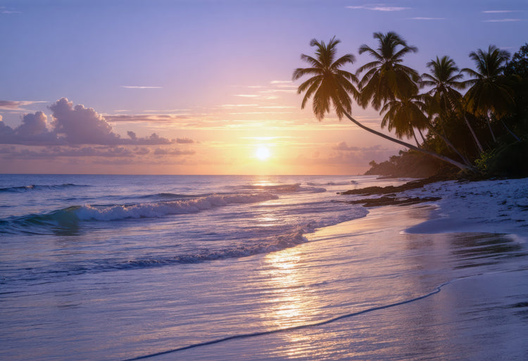 Wandbilder Schlafzimmer kaufen mit traumhaften Sonnenuntergangs-Motiven am tropischen Strand mit Palmen