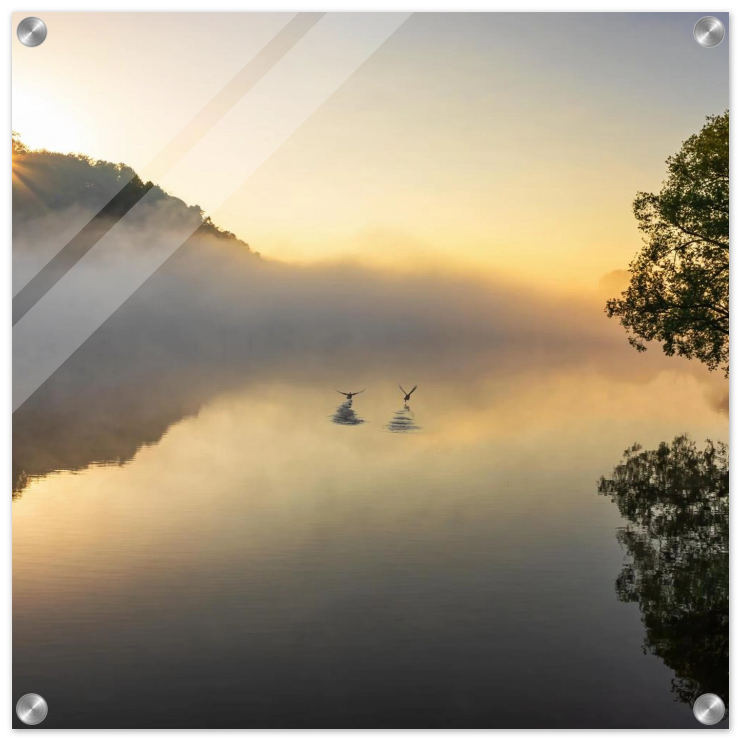 Wandbild mystischer sonnenaufgang ueber dem nebelmeer stille wasser voegel leinwandbild fuer ihr zuhause