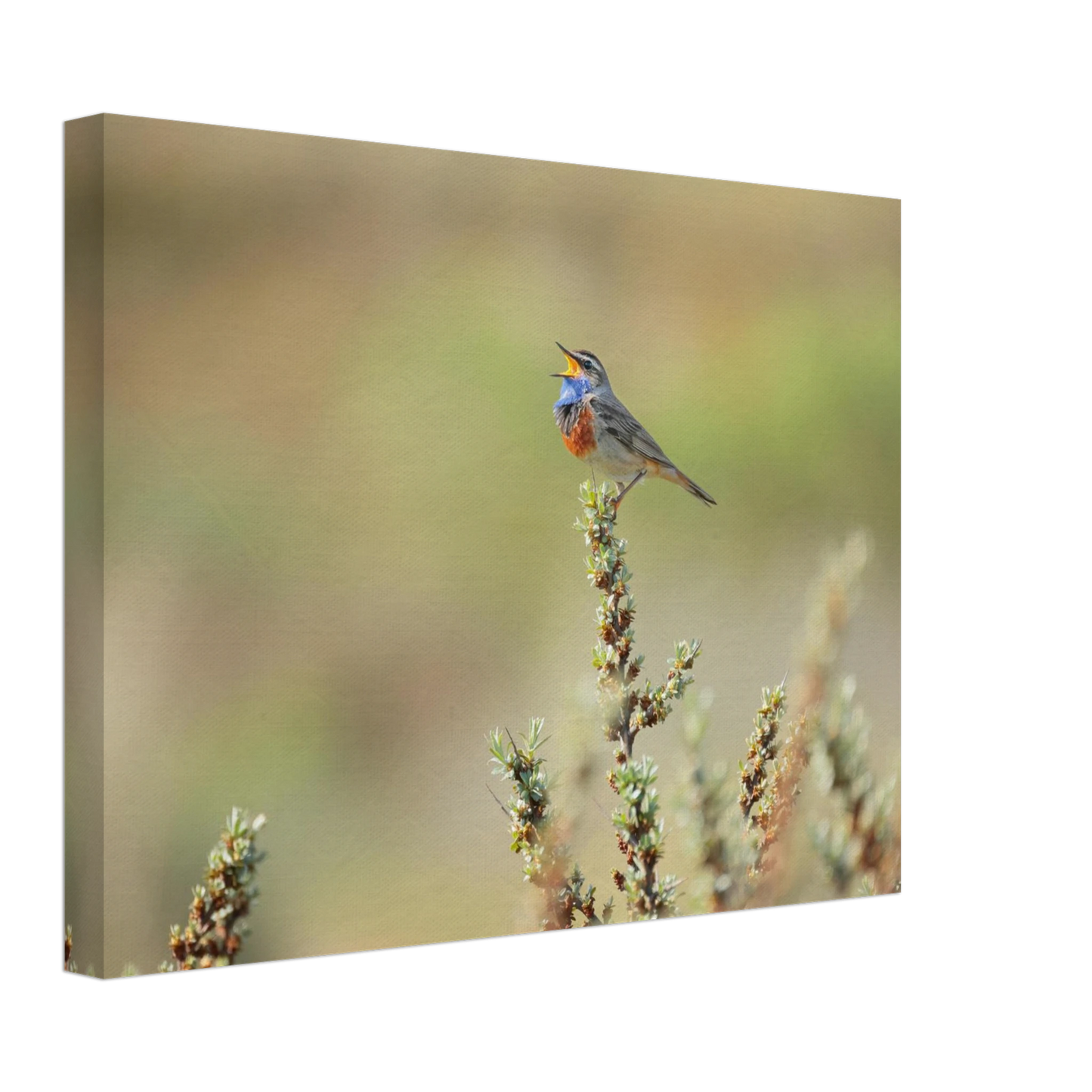 Wandbild der ruf der wildnis ein lebhaftes vogelportraet