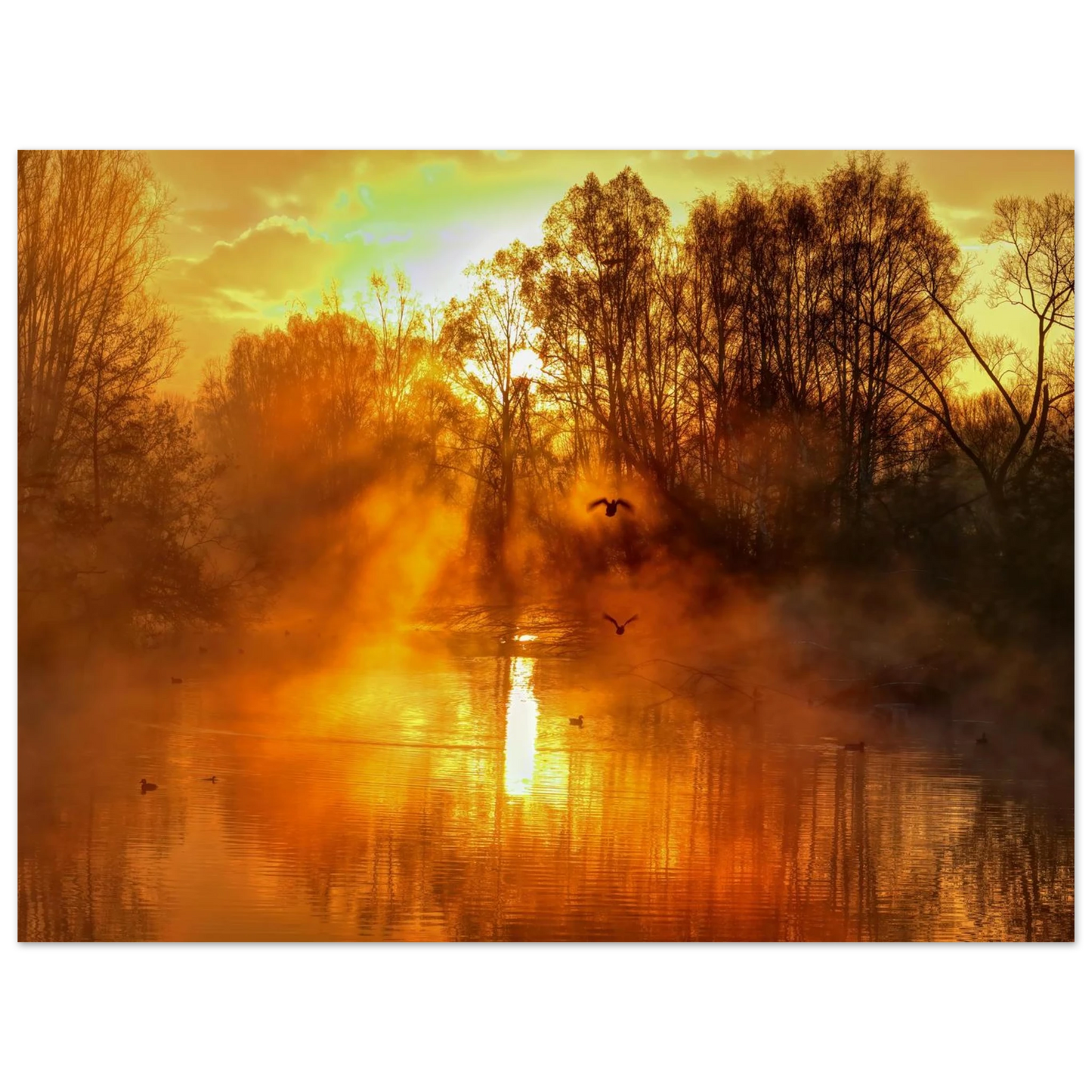 Wandbild Goldene morgenroete wandbild nebelwald poster in 25 groessenausfuehrungen