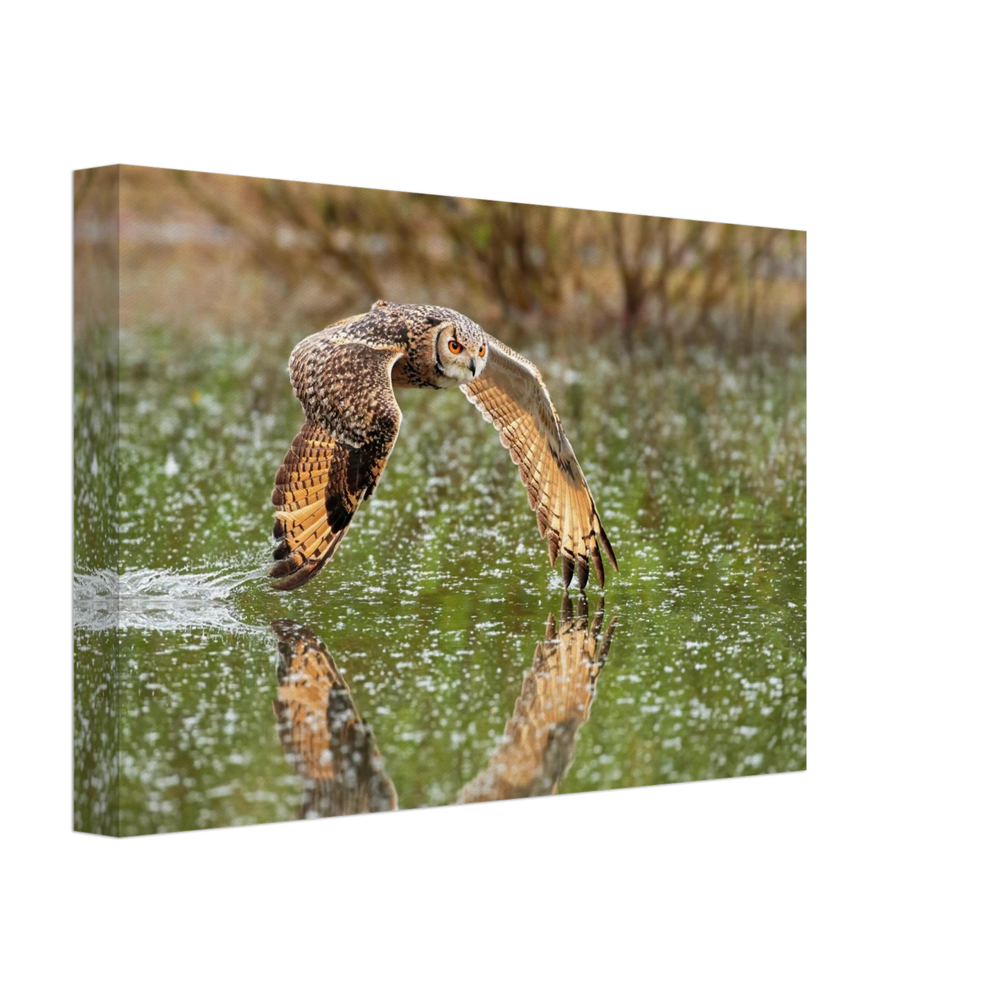 Wandbild majestaetische eule im flug naturfotografie mit lebendigen orangetoenen in ihrer wunschgroesse