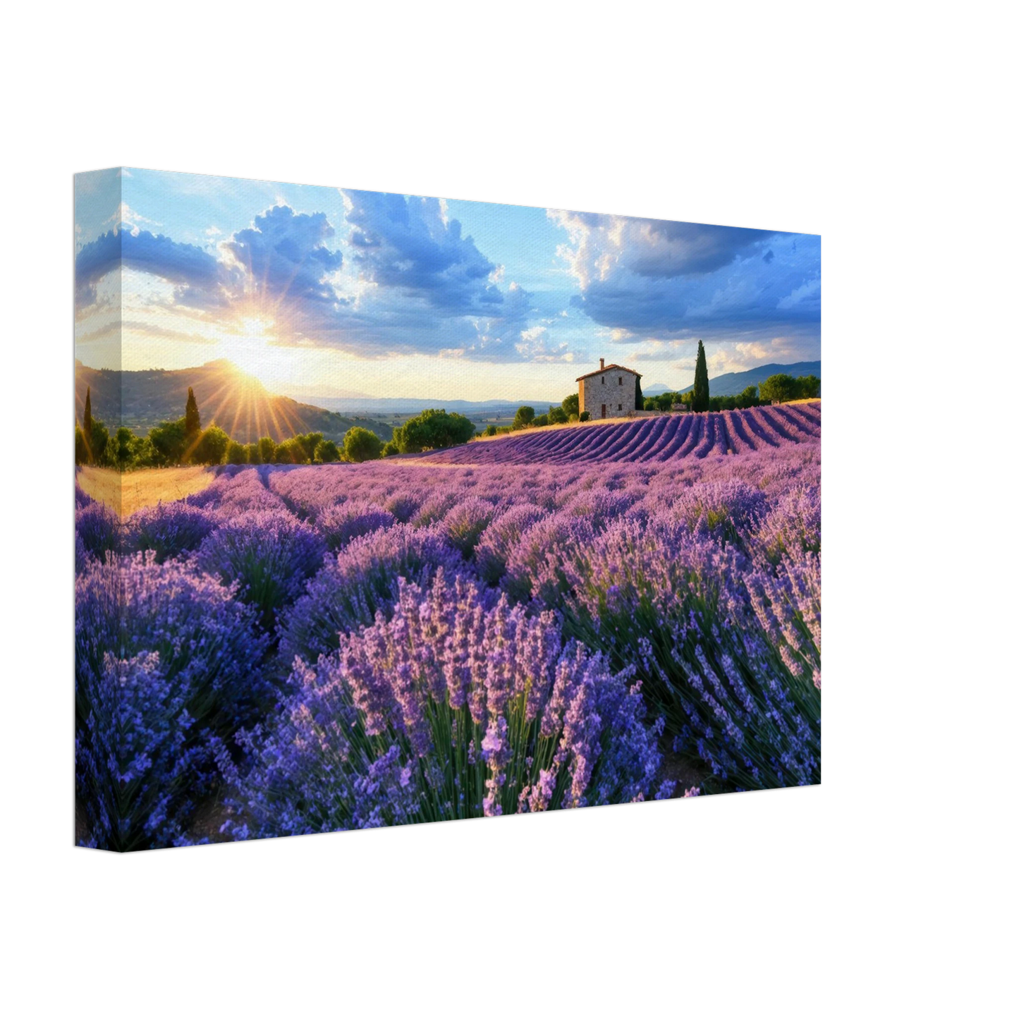 Wandbild sonnenuntergang ueber lavendelfeldern idyllische provence landschaft im wunschformat