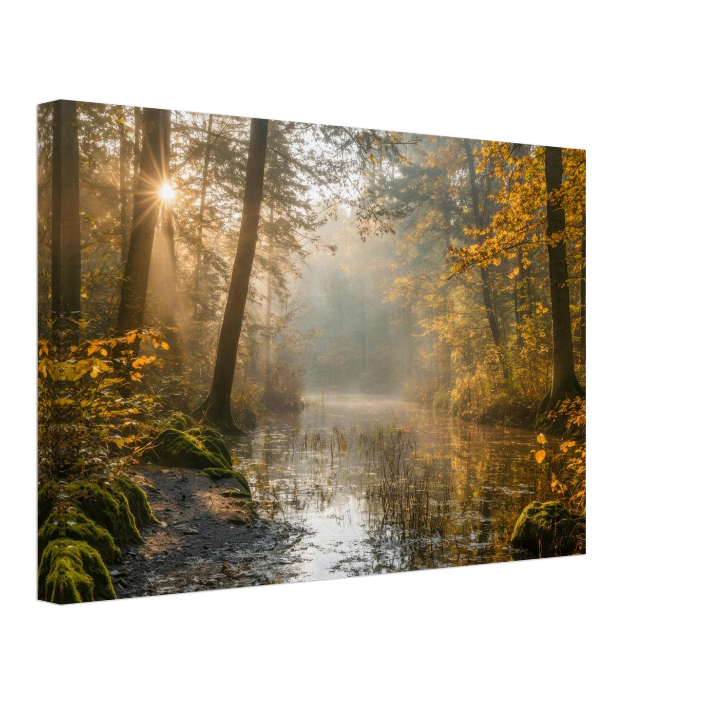 Wandbild Herbstwald morgenlicht wandbild goldenes ambiente in deiner wunschgroesse