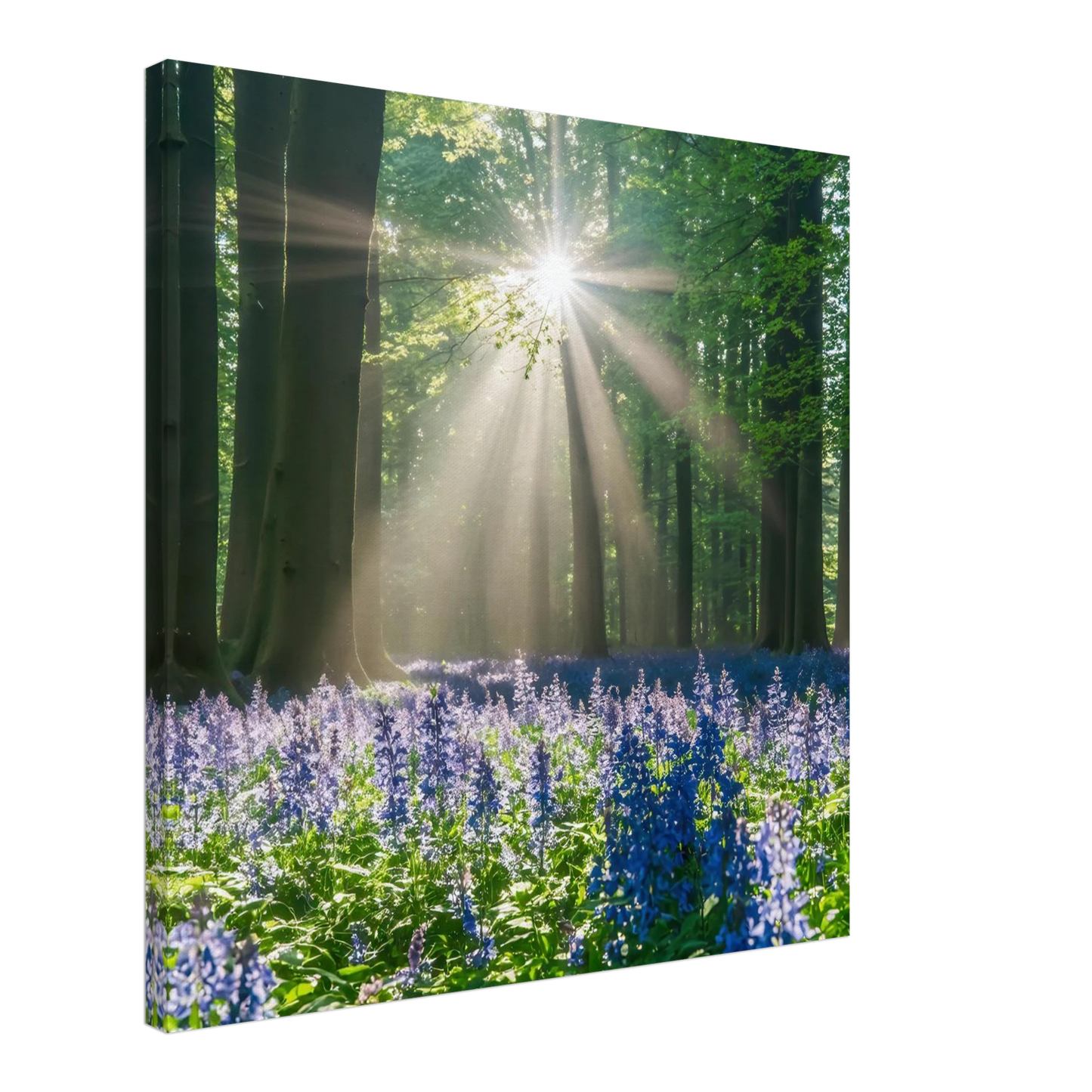 Wandbild bezaubernder wald mit sonnenstrahlen und lila bluetenmeer dein stueck natur