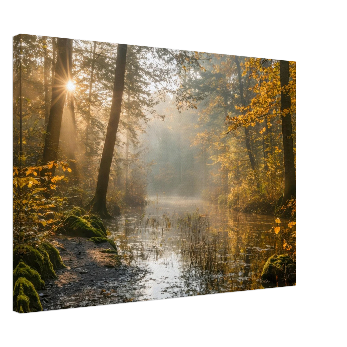 Wandbild Herbstwald morgenlicht wandbild goldenes ambiente in deiner wunschgroesse