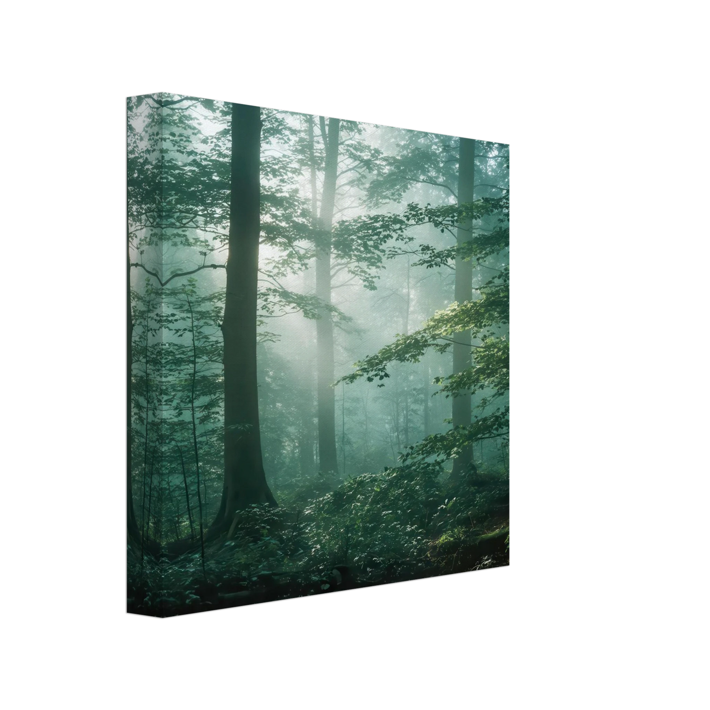 Wandbild mystischer smaragd wald mit sonnenstrahlen beruhigende nebelwald kunst in ihrer wunschgroesse