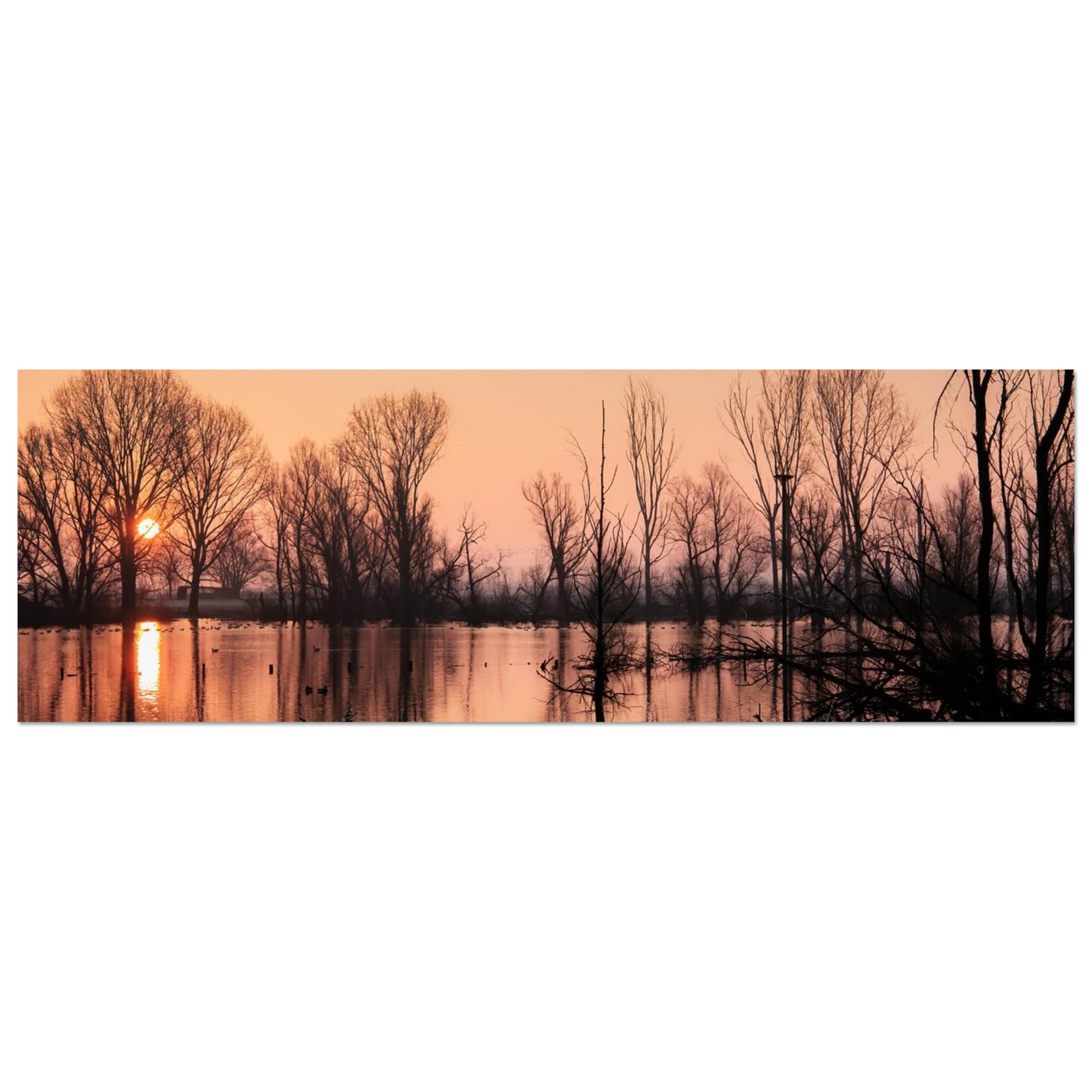 Wandbild mystischer sonnenuntergang am see vertraeumtes naturbild zum aufhaengen in ihrer wunschgroesse