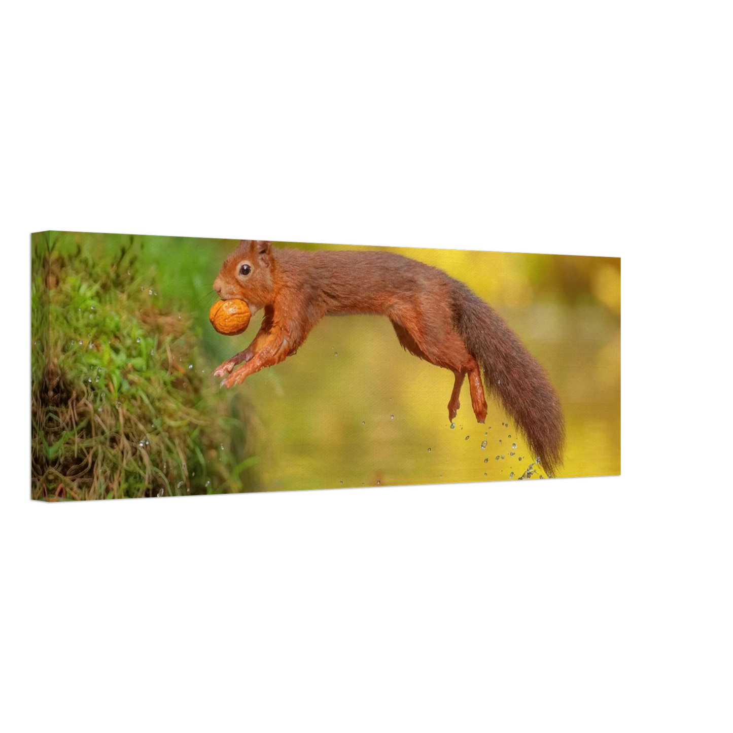 Wandbild eichhoernchen mit nuss dynamische tierkunst in leuchtenden herbstfarben
