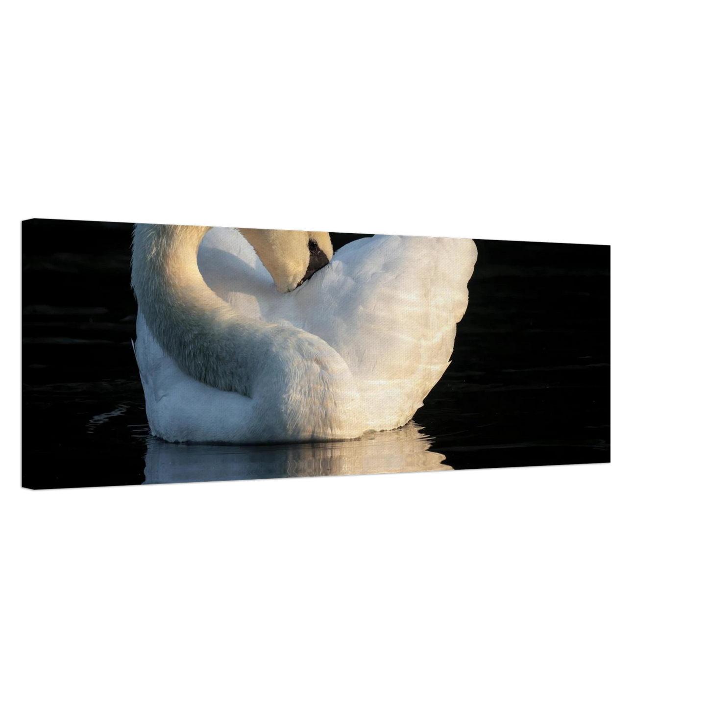 Wandbild schwan bei sonnenuntergang elegante wandkunst fuer ihr zuhause