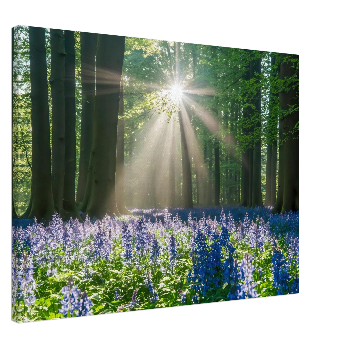 Wandbild bezaubernder wald mit sonnenstrahlen und lila bluetenmeer dein stueck natur