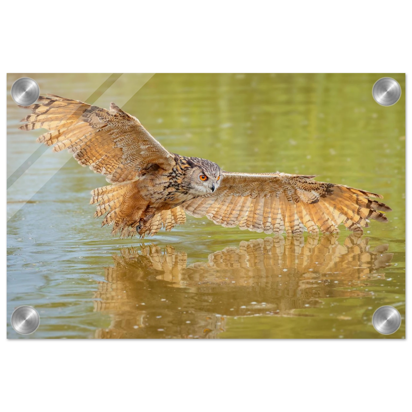 Wandbild majestaetischer uhu im jagdflug atemberaubende wildtierkunst in verschiedenen groessen
