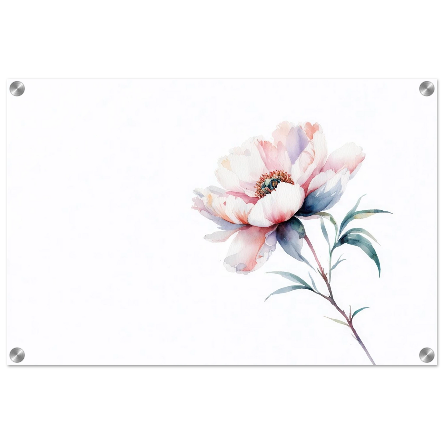 Wandbild zarte pfingstrose elegante aquarell kunst fuer ihr zuhause in wunschgroesse