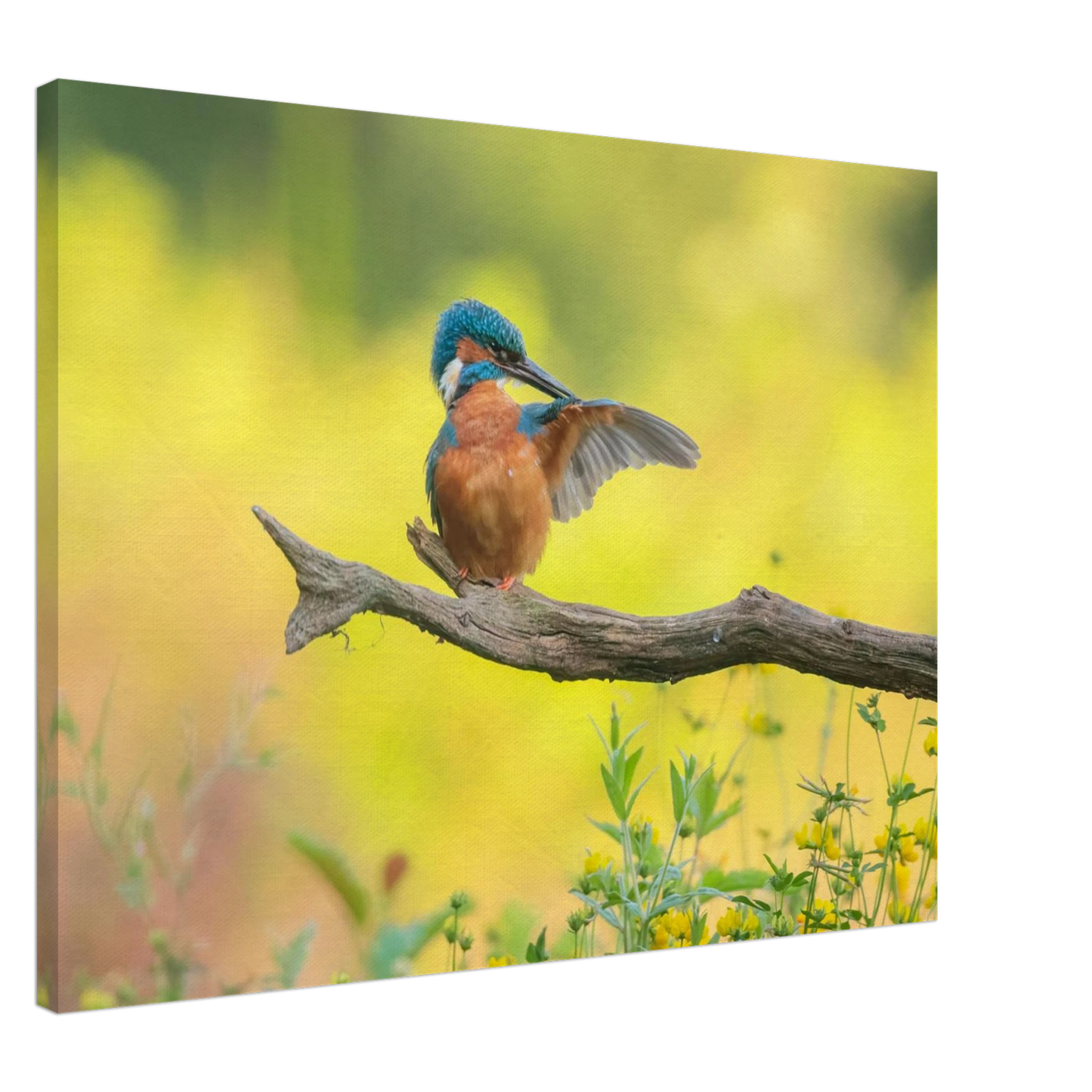 Wandbild eisvogel lebendige naturkunst fuer ihr zuhause