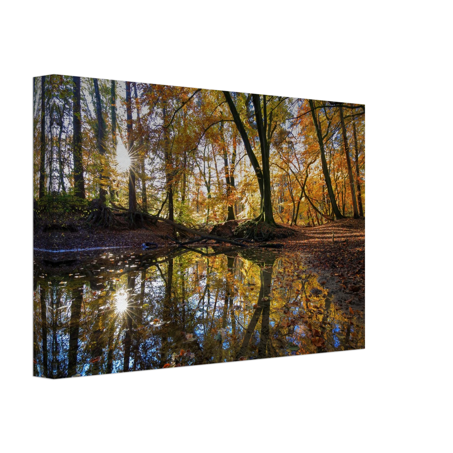 Wandbild goldener herbstwald stimmungsvolle spiegelung der natur in ihrer wunschgroesse