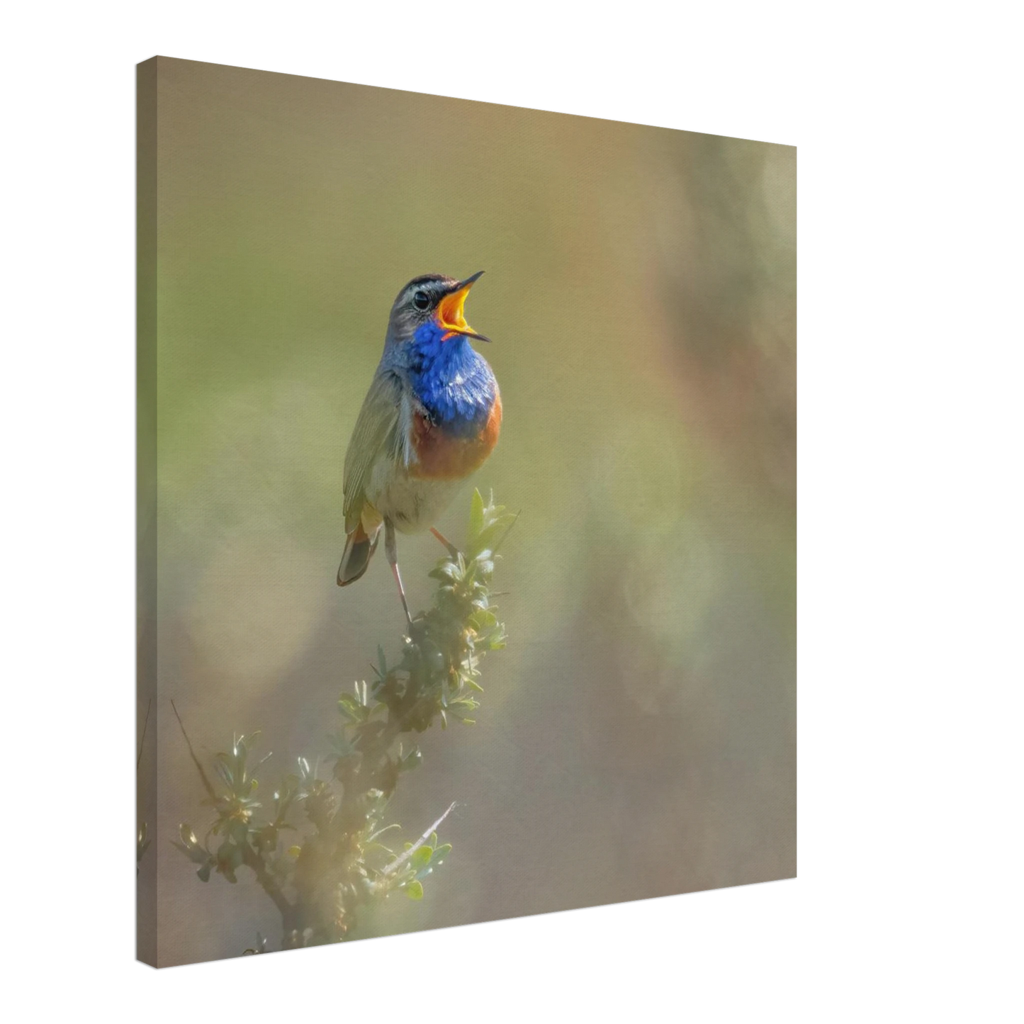 Wandbild singvogel in blautoenen lebendige vogelkunst fuer ihr zuhause in ihrer wunschgroesse