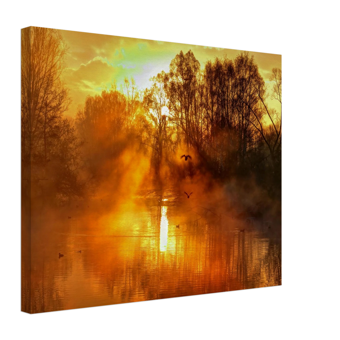 Wandbild Goldene morgenroete wandbild nebelwald poster in 25 groessenausfuehrungen