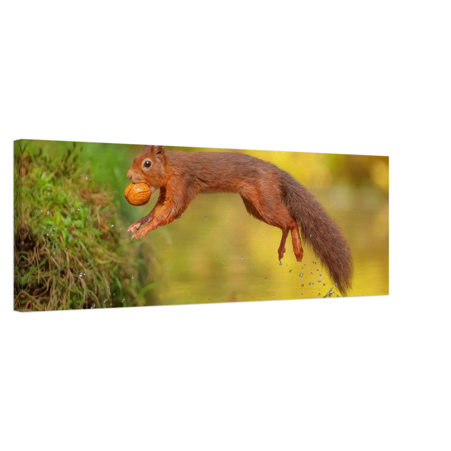 Wandbild eichhoernchen mit nuss dynamische tierkunst in leuchtenden herbstfarben
