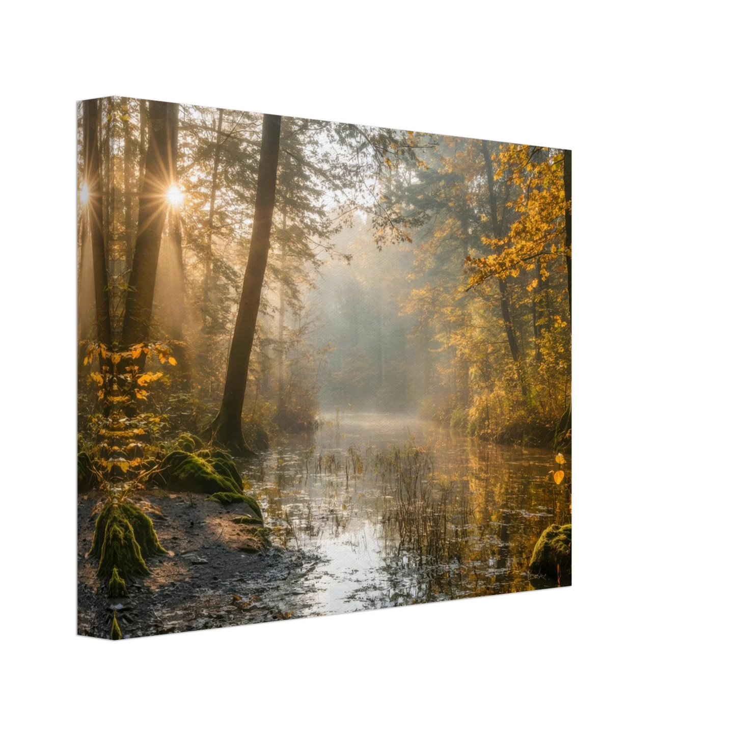 Wandbild Herbstwald morgenlicht wandbild goldenes ambiente in deiner wunschgroesse