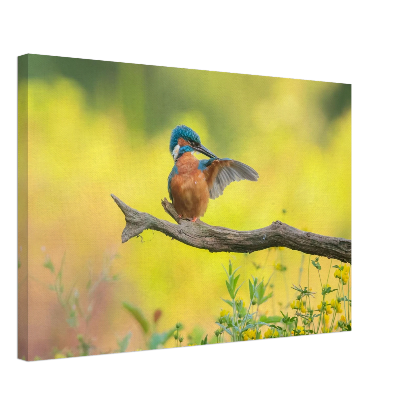 Wandbild eisvogel lebendige naturkunst fuer ihr zuhause