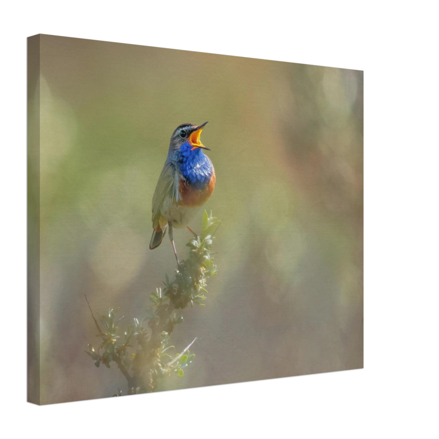 Wandbild singvogel in blautoenen lebendige vogelkunst fuer ihr zuhause in ihrer wunschgroesse