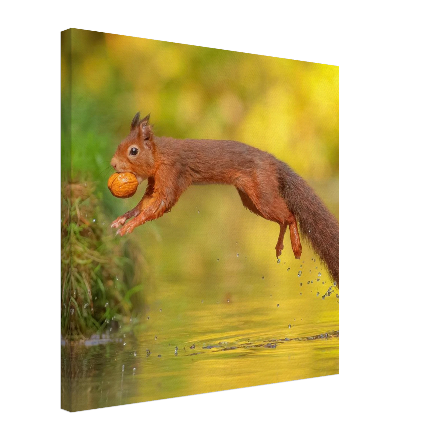 Wandbild eichhoernchen mit nuss dynamische tierkunst in leuchtenden herbstfarben