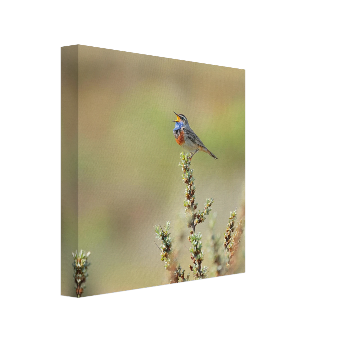 Wandbild der ruf der wildnis ein lebhaftes vogelportraet