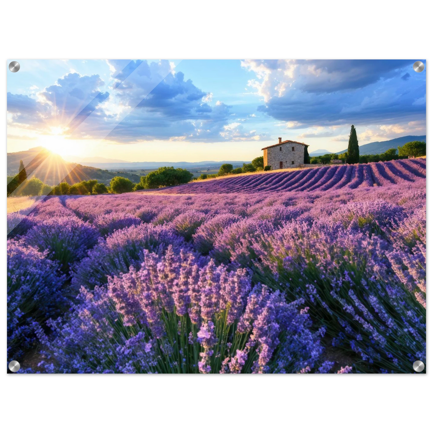 Wandbild sonnenuntergang ueber lavendelfeldern idyllische provence landschaft im wunschformat
