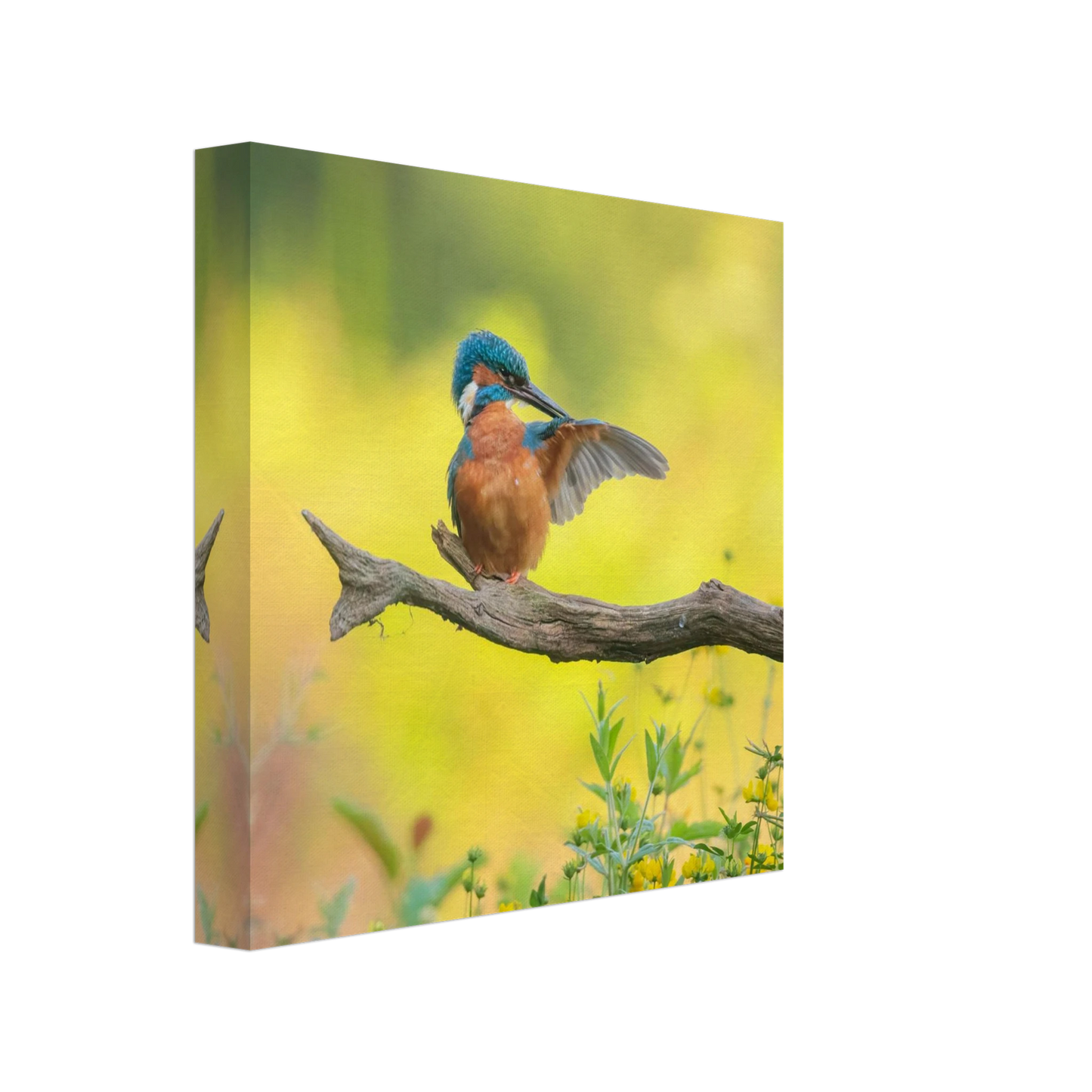 Wandbild eisvogel lebendige naturkunst fuer ihr zuhause