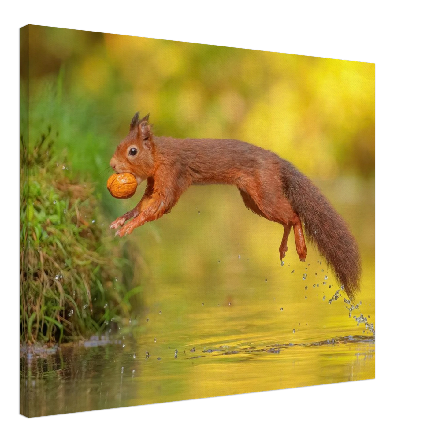 Wandbild eichhoernchen mit nuss dynamische tierkunst in leuchtenden herbstfarben