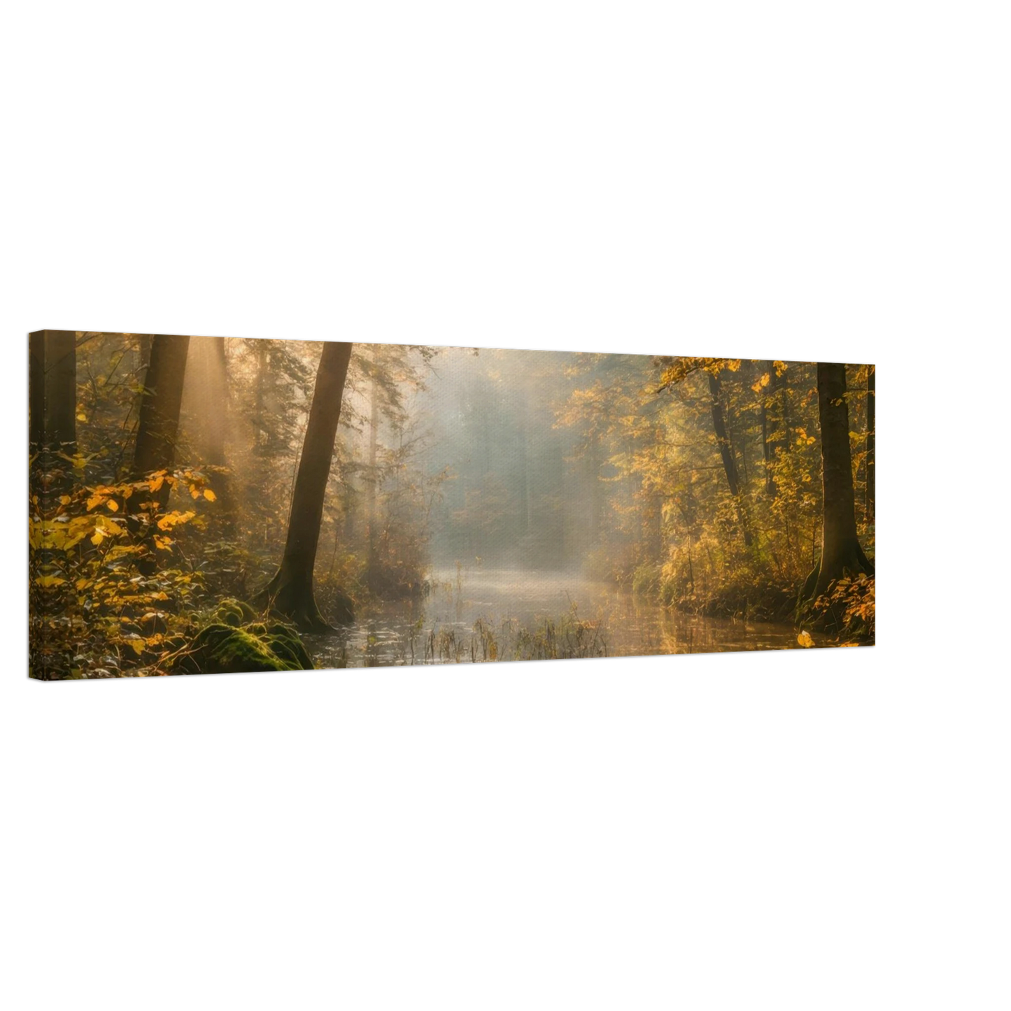 Wandbild Herbstwald morgenlicht wandbild goldenes ambiente in deiner wunschgroesse