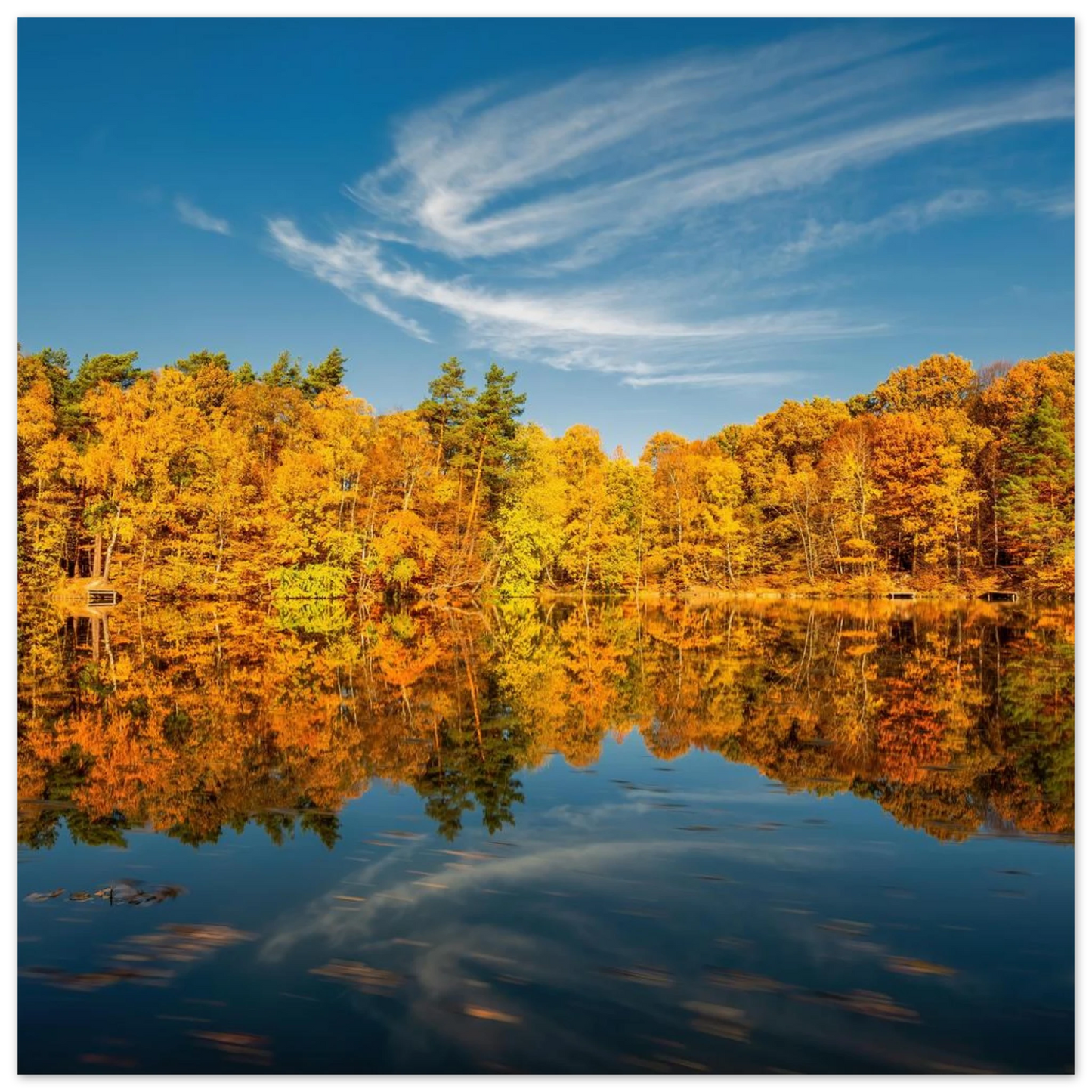 Wandbild herbstliche see symphonie atemberaubende waldspiegelung an einem sonnigen herbsttag