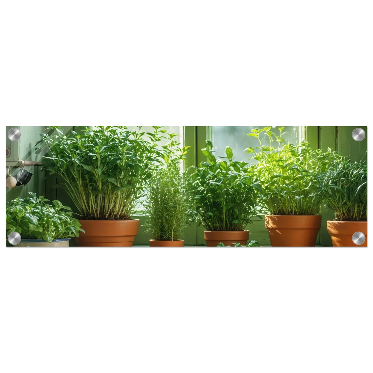 Wandbild mediterrane kraeuter am fenster frische gruen nuancen fuer ihr zuhause in vielen groessen