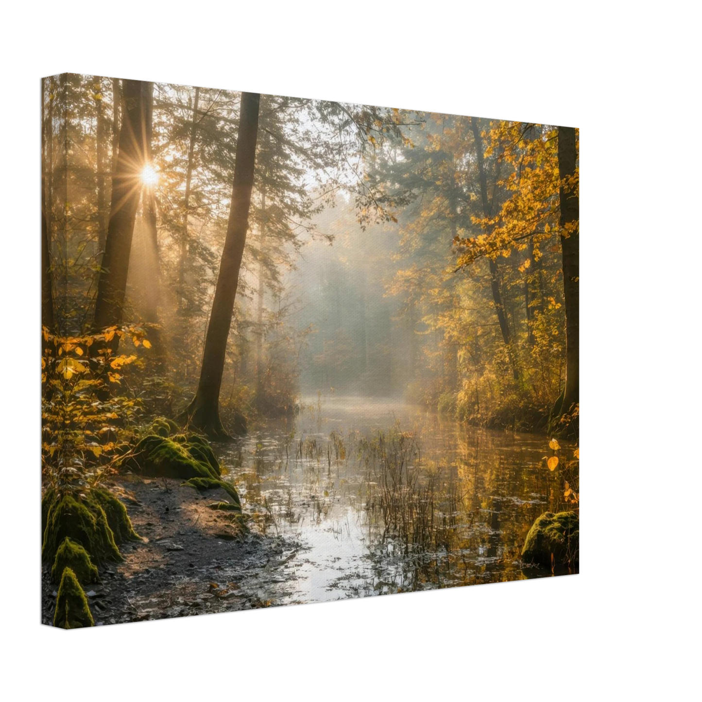 Wandbild Herbstwald morgenlicht wandbild goldenes ambiente in deiner wunschgroesse