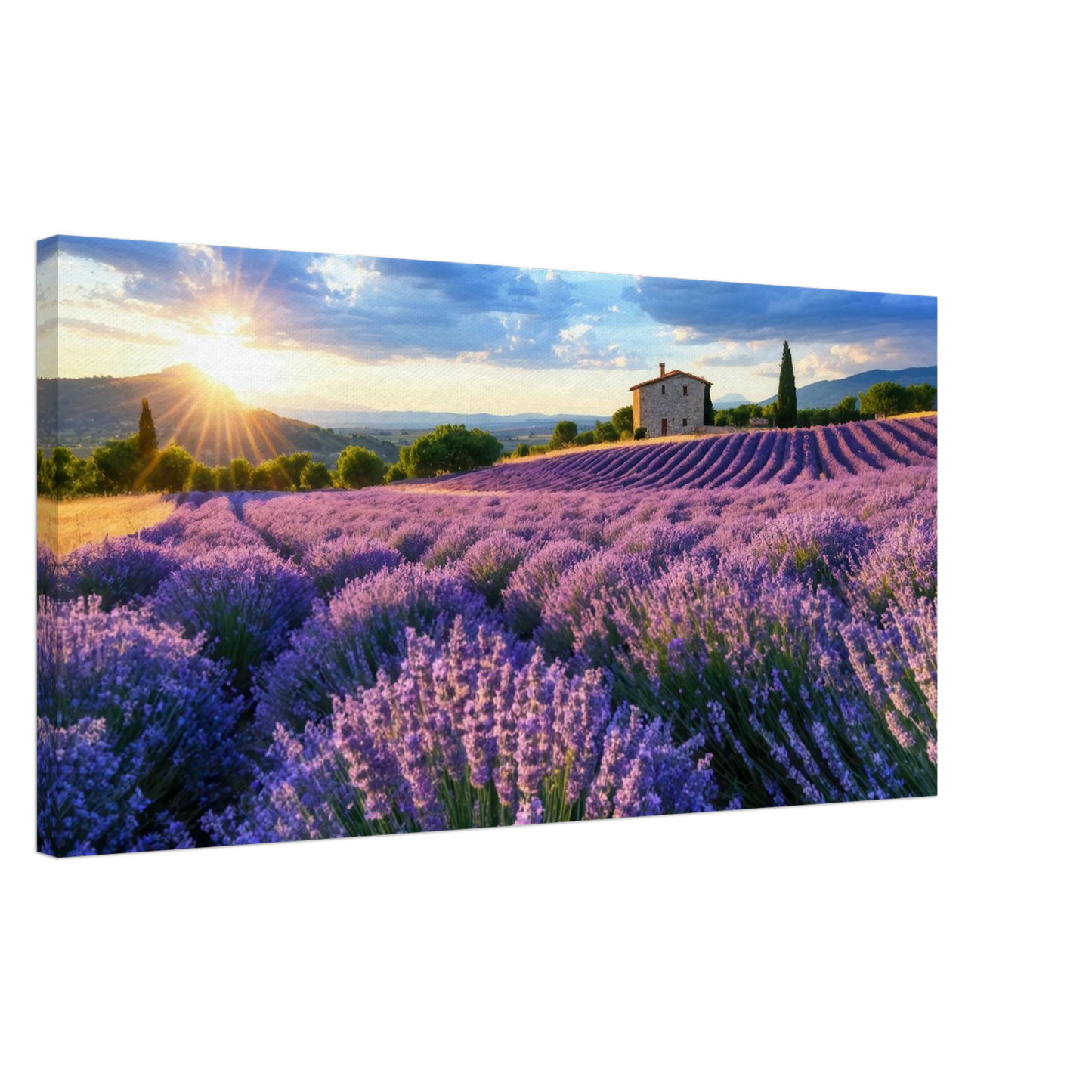 Wandbild sonnenuntergang ueber lavendelfeldern idyllische provence landschaft im wunschformat
