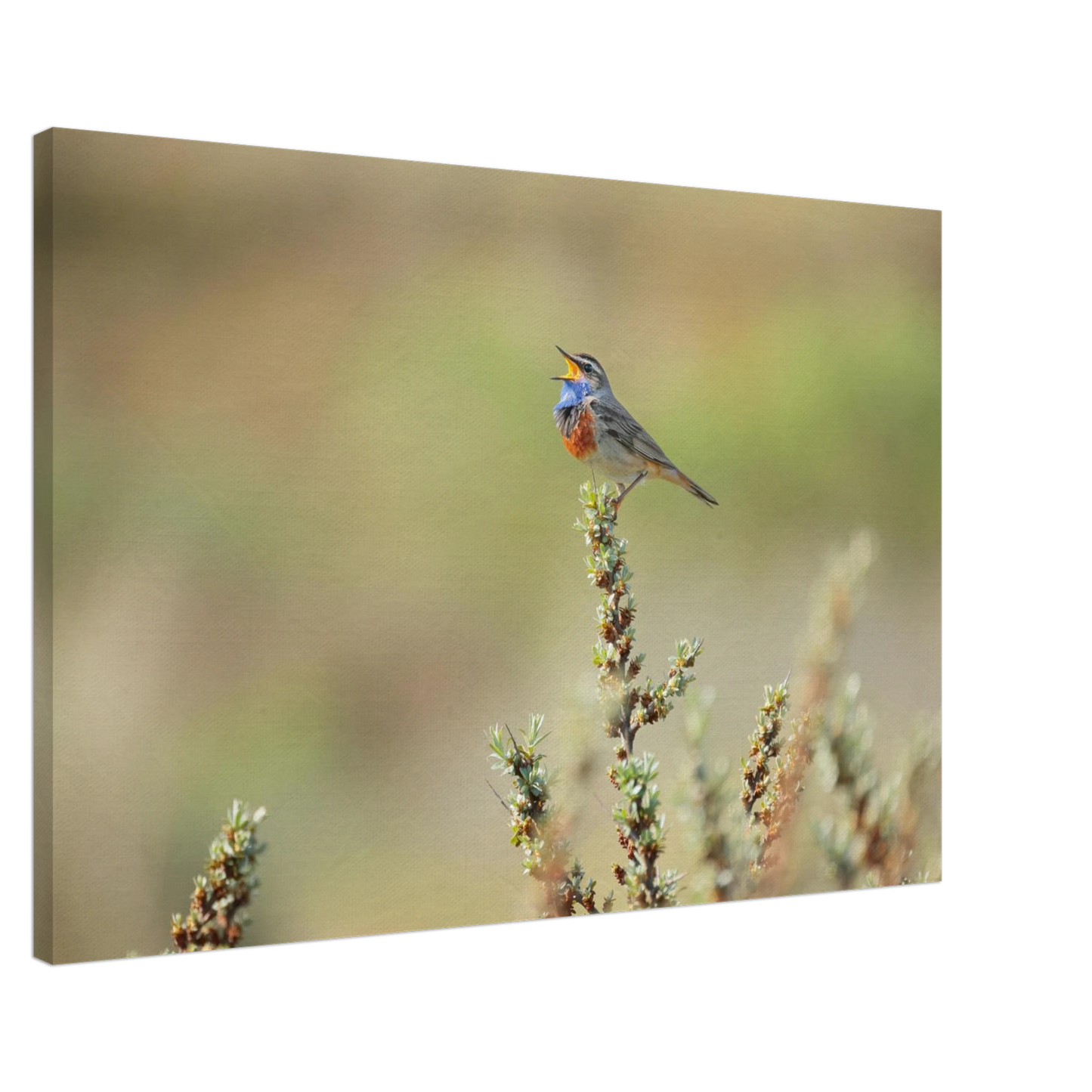 Wandbild der ruf der wildnis ein lebhaftes vogelportraet