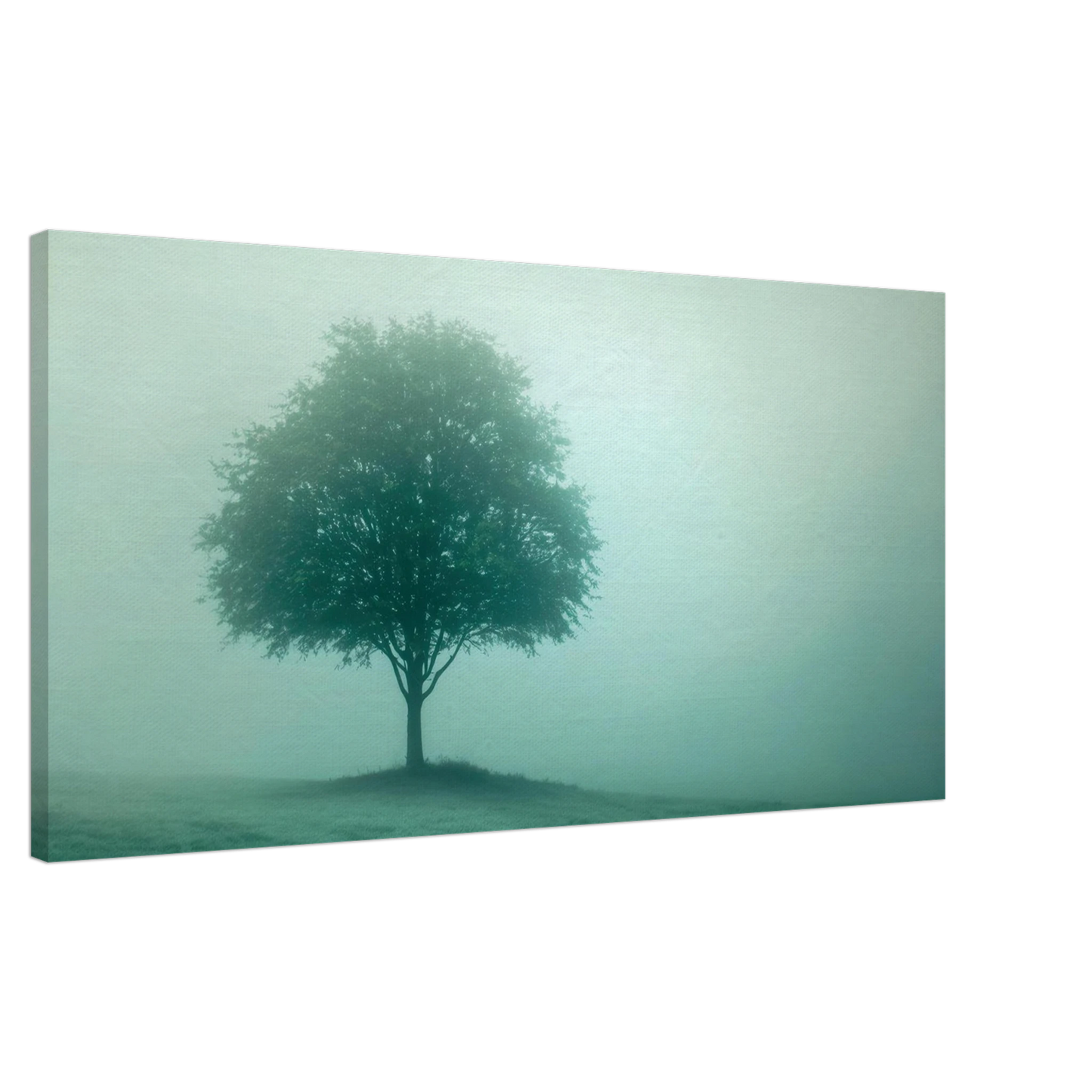 Wandbild mystischer baum im nebel ruhe und gruentoene fuer dein zuhause