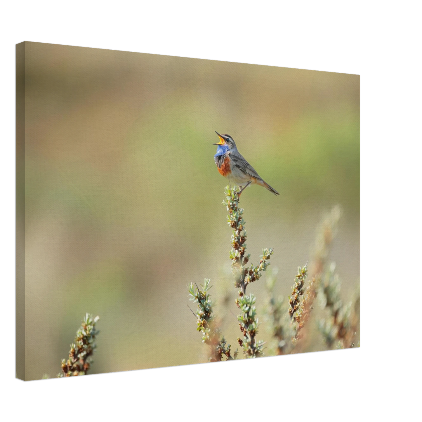 Wandbild der ruf der wildnis ein lebhaftes vogelportraet