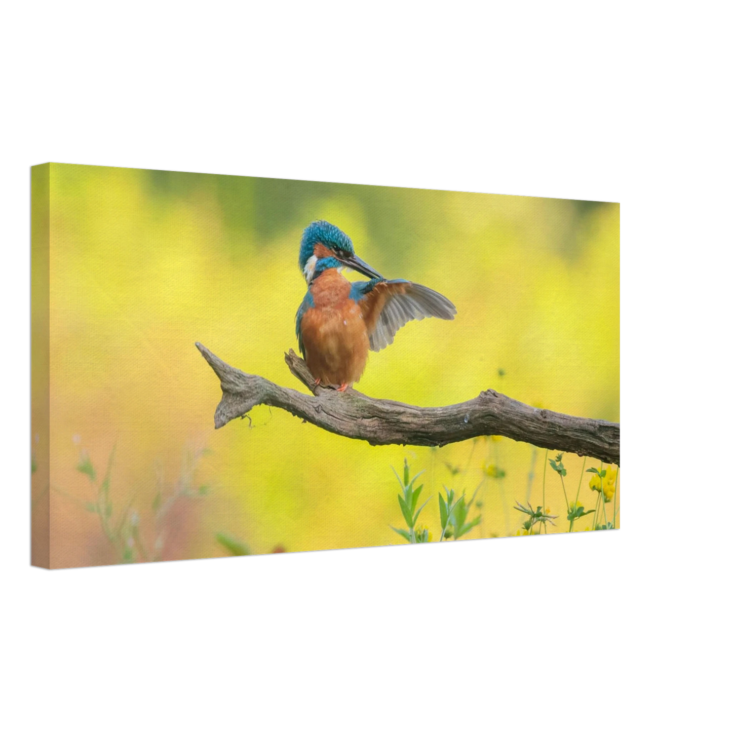 Wandbild eisvogel lebendige naturkunst fuer ihr zuhause