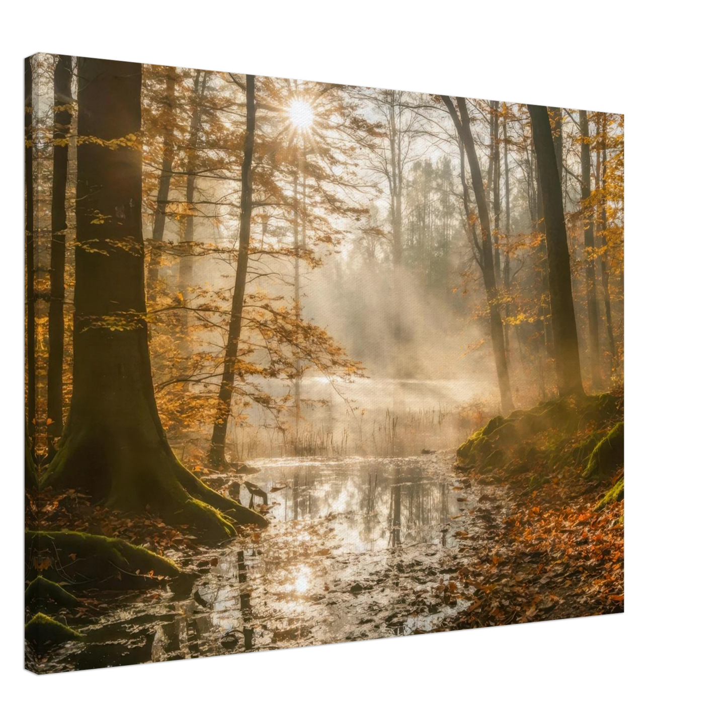 36874b2a-07bb-4550-bd85-c73aa21e59cd