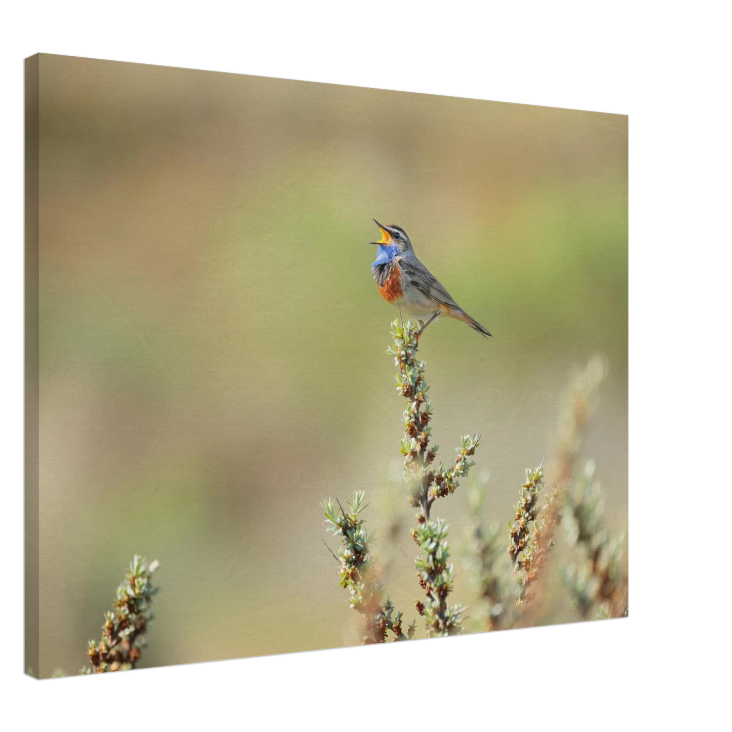 Wandbild der ruf der wildnis ein lebhaftes vogelportraet