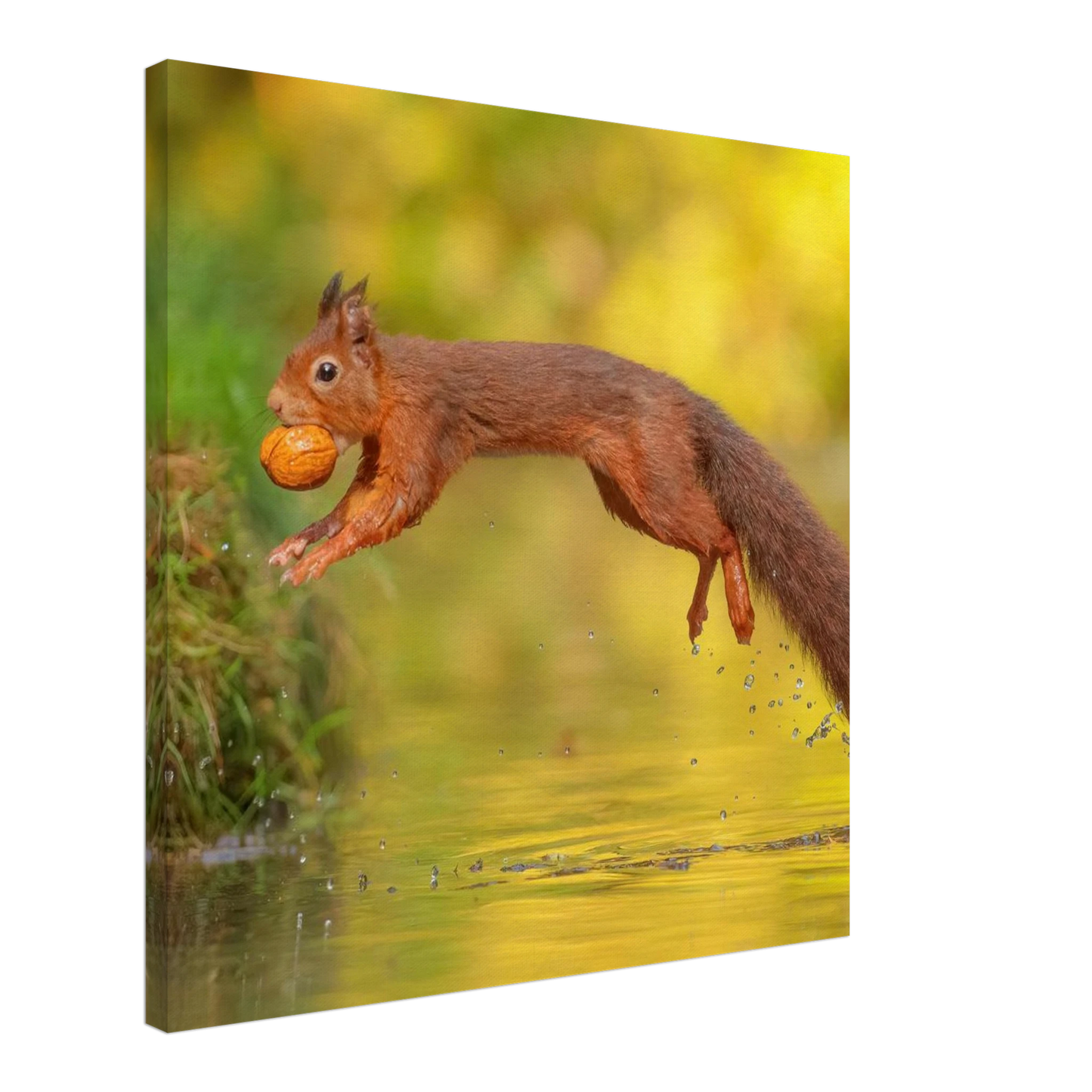 Wandbild eichhoernchen mit nuss dynamische tierkunst in leuchtenden herbstfarben