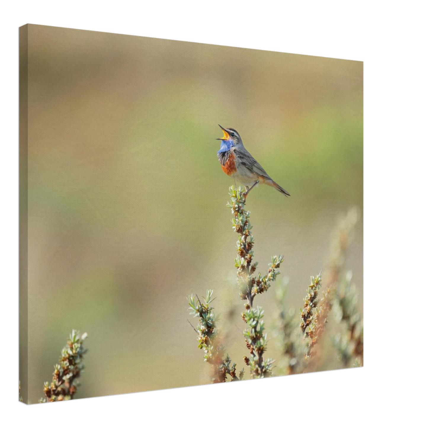 Wandbild der ruf der wildnis ein lebhaftes vogelportraet
