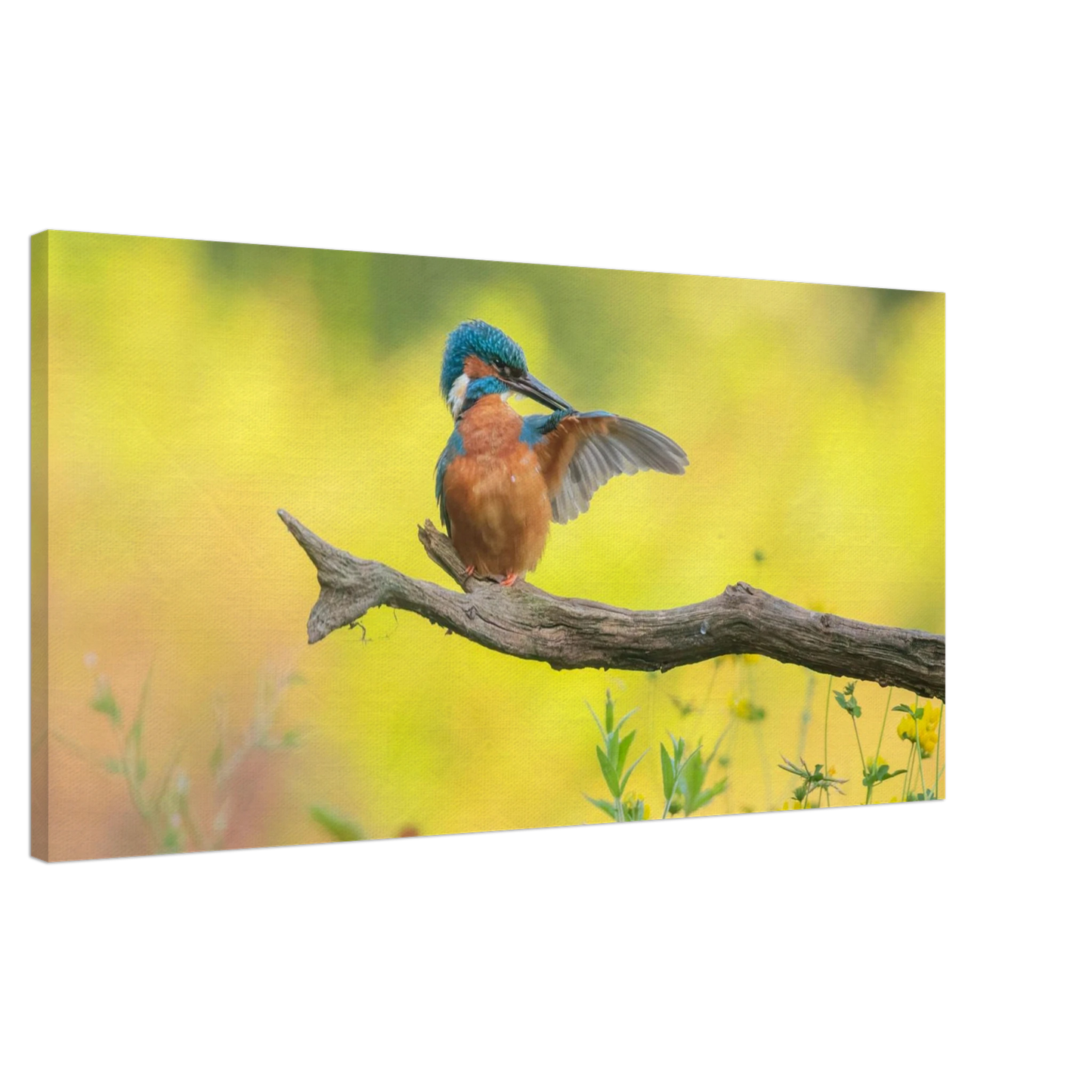 Wandbild eisvogel lebendige naturkunst fuer ihr zuhause