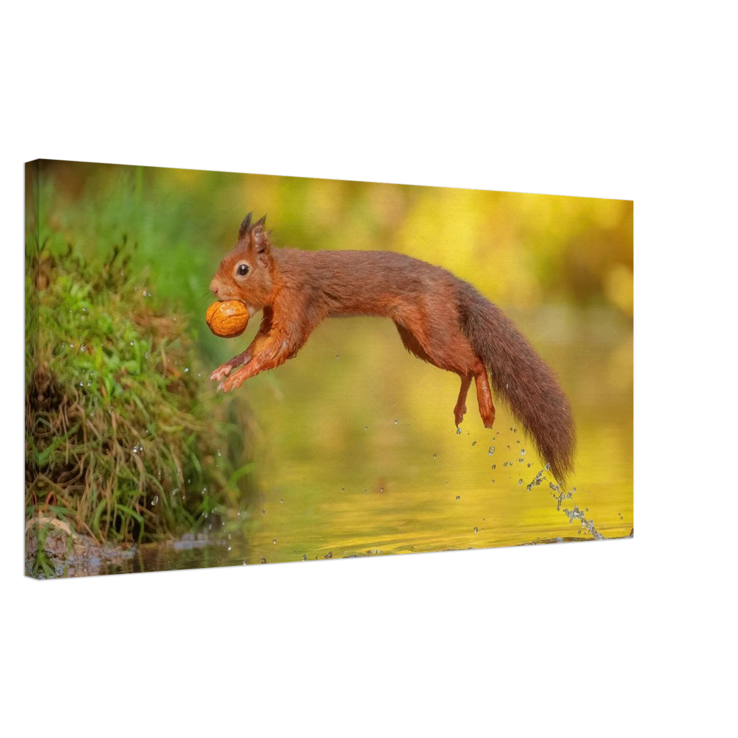 Wandbild eichhoernchen mit nuss dynamische tierkunst in leuchtenden herbstfarben