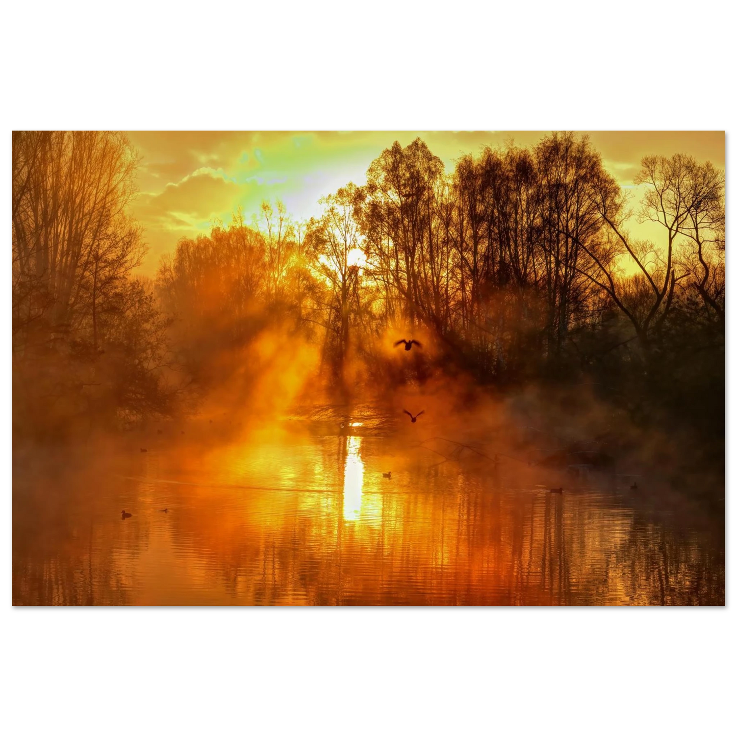 Wandbild Goldene morgenroete wandbild nebelwald poster in 25 groessenausfuehrungen