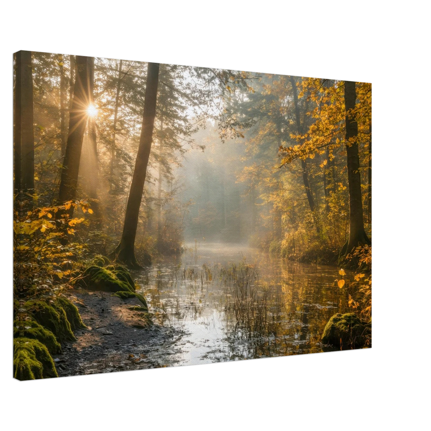 Wandbild Herbstwald morgenlicht wandbild goldenes ambiente in deiner wunschgroesse