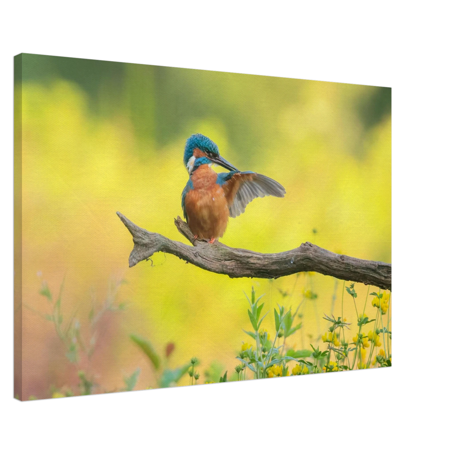 Wandbild eisvogel lebendige naturkunst fuer ihr zuhause