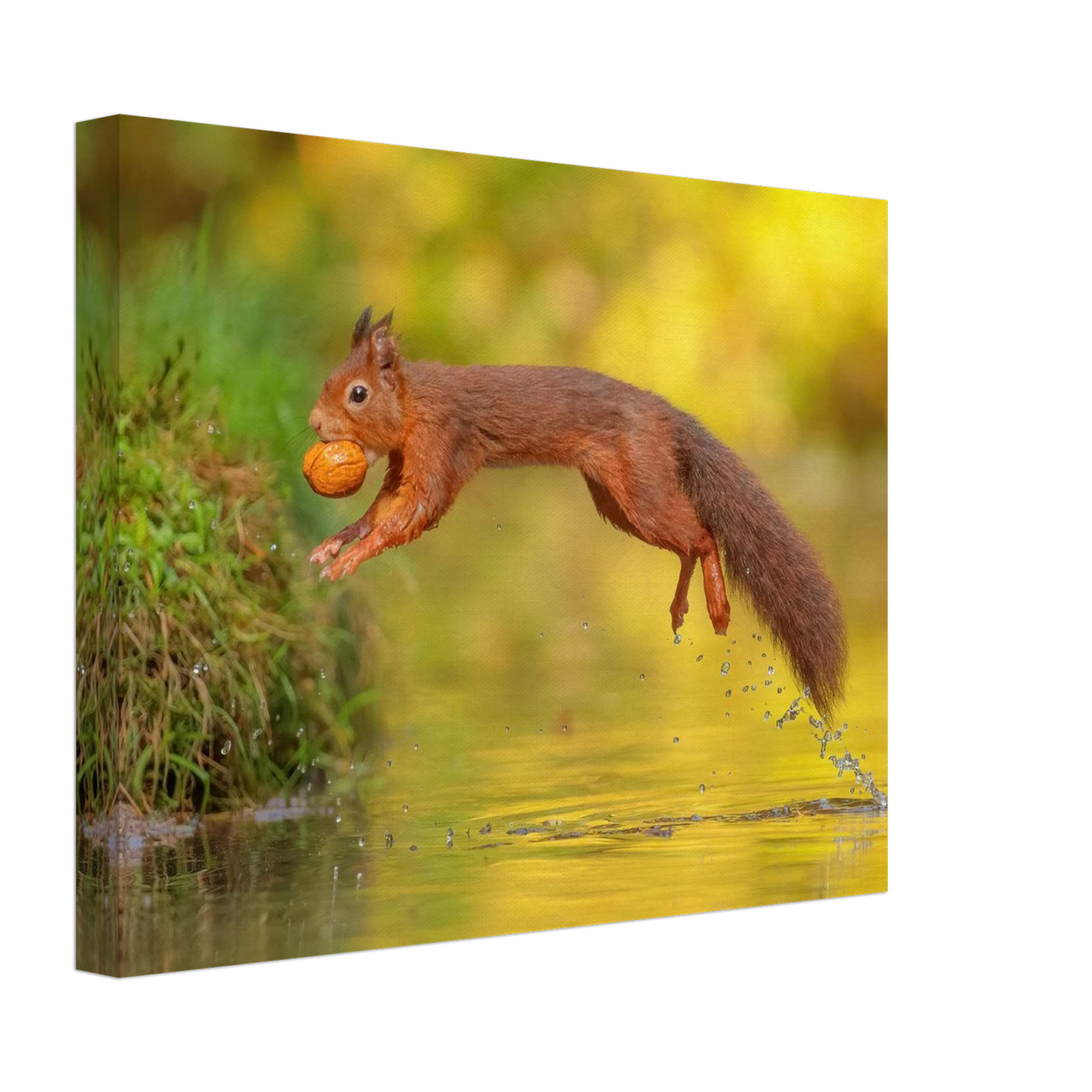Wandbild eichhoernchen mit nuss dynamische tierkunst in leuchtenden herbstfarben