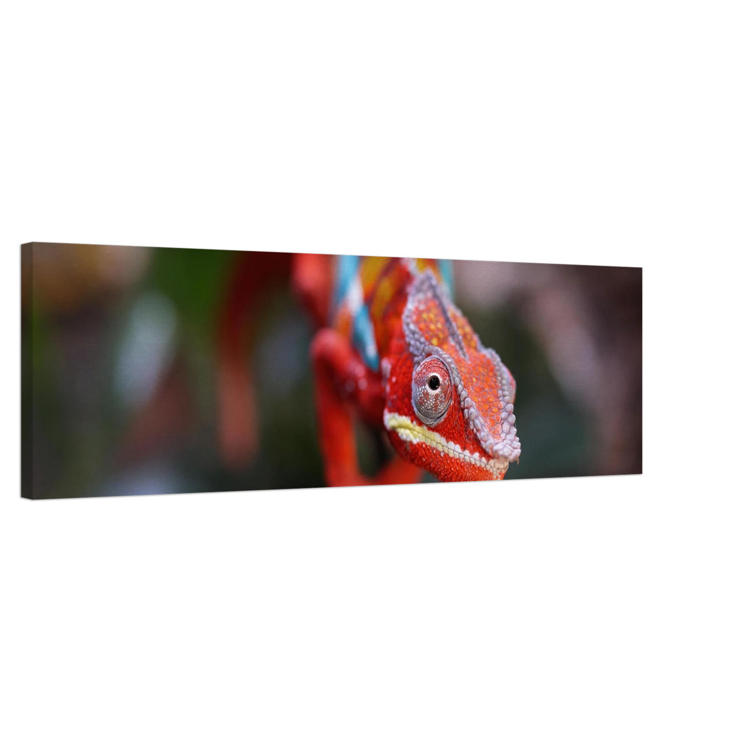Wandbild faszinierendes chamaeleon portraet lebendige tierkunst fuer ihr zuhause in ihrer wunschgroesse