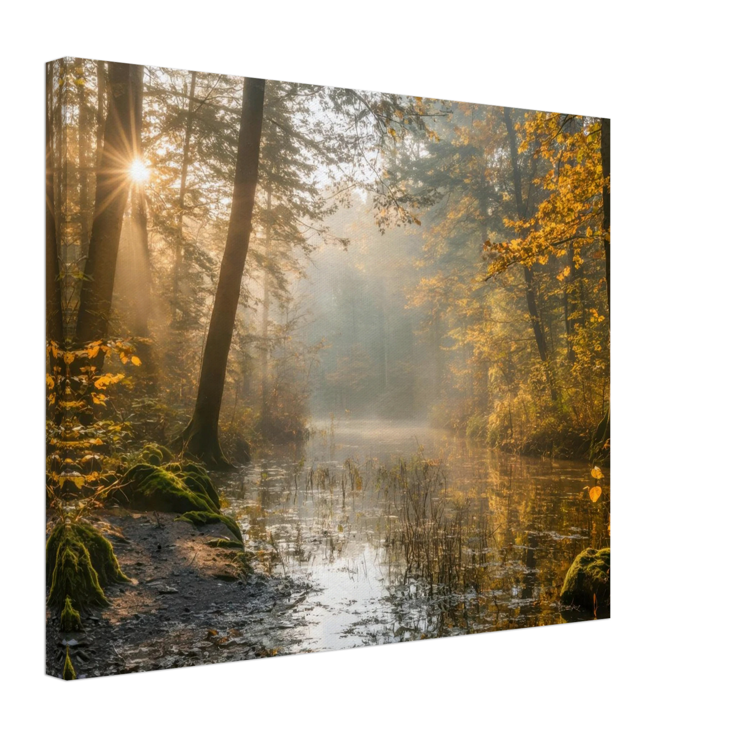 Wandbild Herbstwald morgenlicht wandbild goldenes ambiente in deiner wunschgroesse